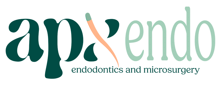 APX Outside Logo Final